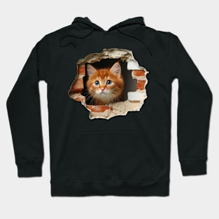 Sweet cat poking its head out from a wall opening Hoodie